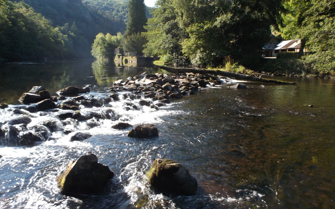 Fermeture de la truite : bilan de la saison – place aux actions sur le terrain