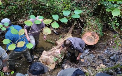 Chantiers d’entretien des cours d’eau – Octobre 2025