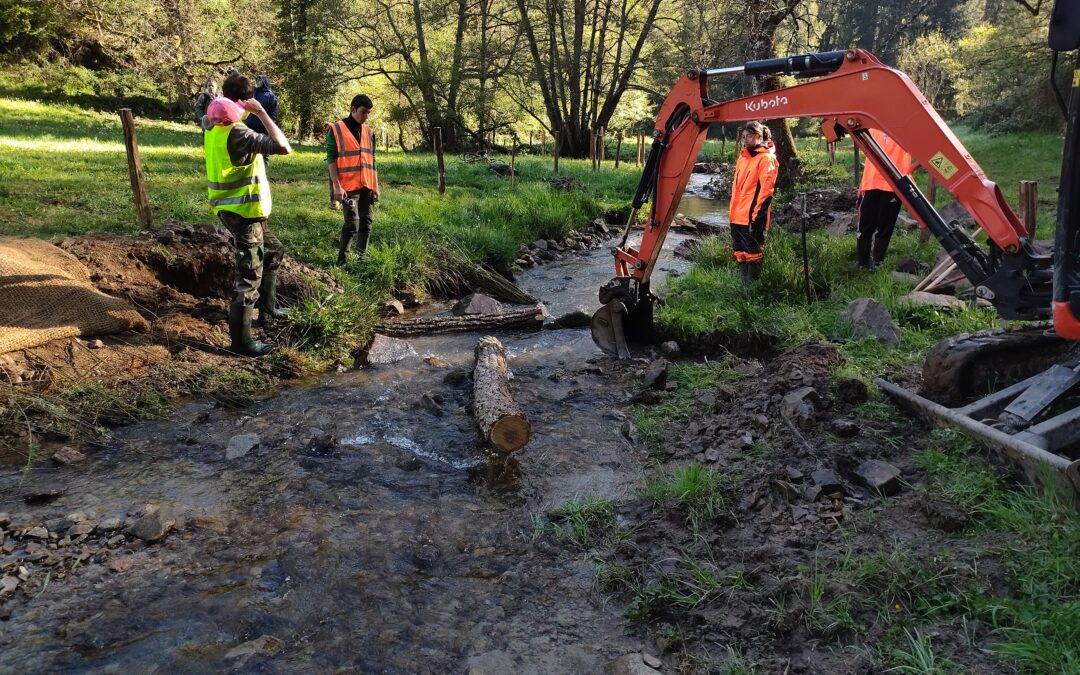 Restauration du ruisseau de Braynant : chantier terminé !