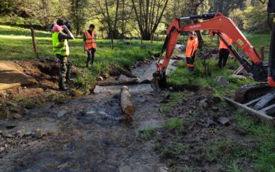 Restauration du ruisseau de Braynant : chantier terminé !